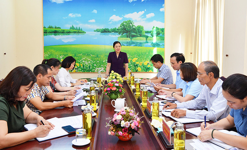  Phó Chủ tịch Trương Thị Ngọc Ánh phát biểu tại buổi làm việc với MTTQ tỉnh Tuyên Quang.