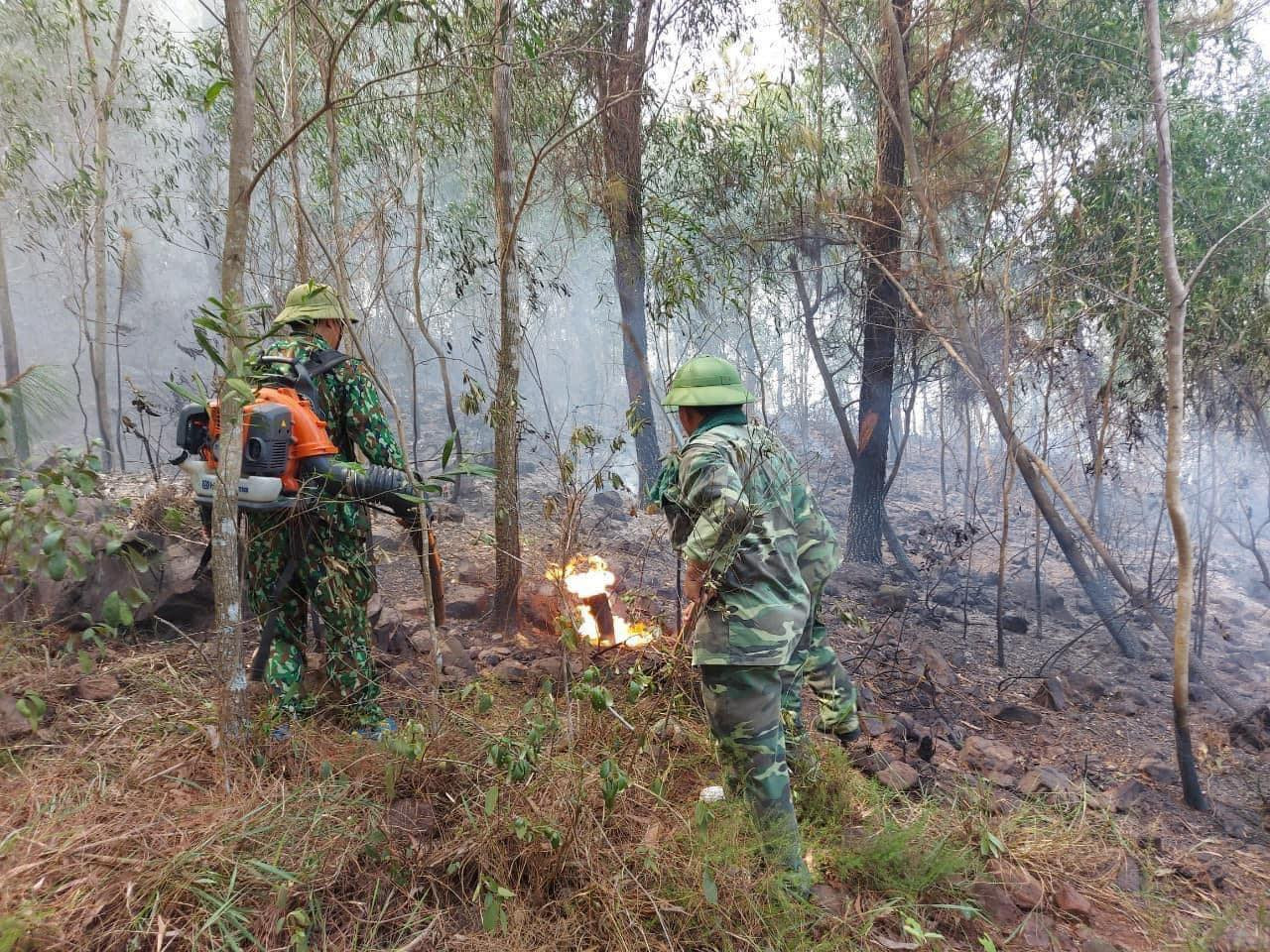 1.Đang xảy ra cháy rừng thông, keo tại xã Diễn Lộc, huyện Diễn Châu.