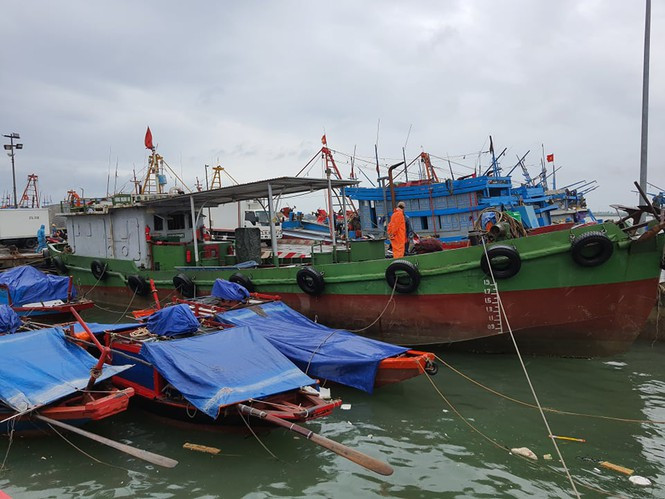 Tính đến 7h sáng ngày 2/8, toàn bộ tàu thuyền của tỉnh Nghệ An đã vào bờ tránh trú bão số 2.