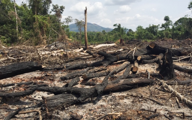 Ban QLRPH Ia Grai đã để mất, bị lấn chiếm hơn 360 ha rừng.