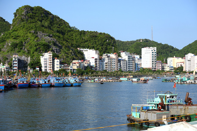 Huyện Cát Hải được công nhận là huyện đạt chuẩn nông thôn mới năm 2019. 
