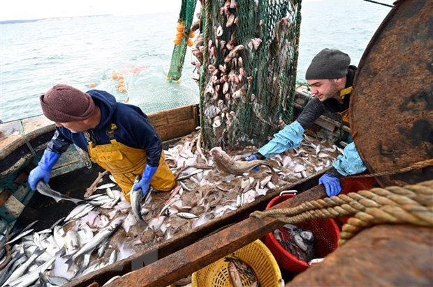 Quyền đánh bắt cá là một trong những bất đồng chính cản trở một thỏa thuận mà hai bên đang rất cần đạt được.. (Ảnh: AFP/TTXVN).