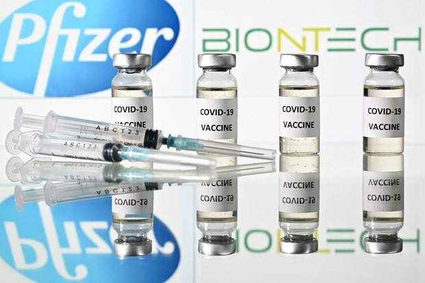 Vắcxin của Pfizer-BioNTech. (Ảnh: AFP).