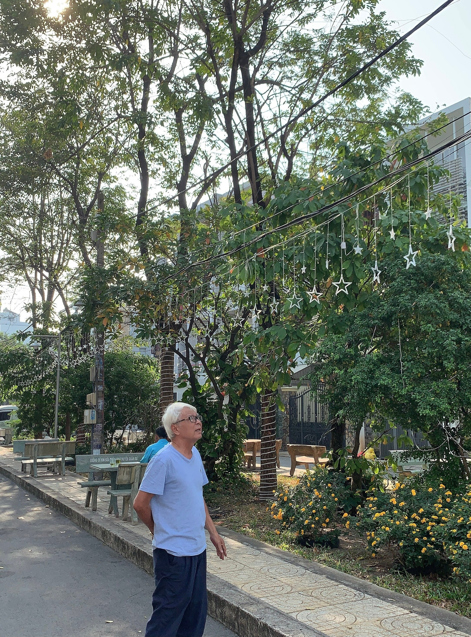 Ông Lê Văn Lai bên cạnh hàng cây do ông trồng
