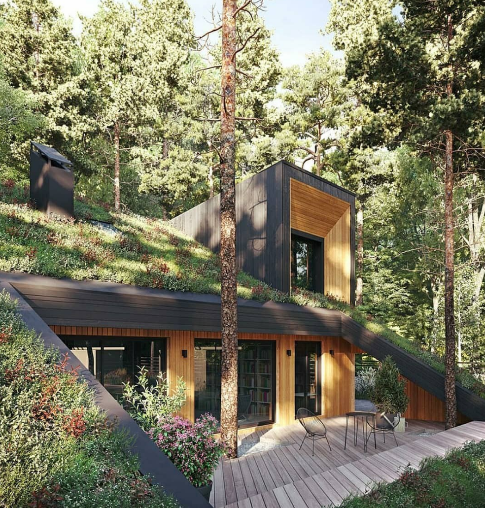 Căn nhà phủ đầy cây xanh (Ảnh: Instagram).