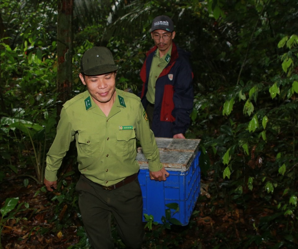 Số tang vật thu giữ tại hiện trường