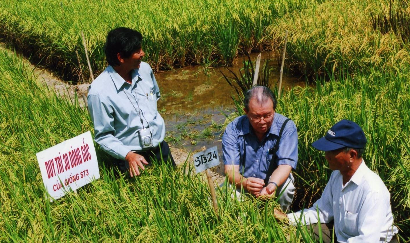 Giáo sư Võ Tòng Xuân (giữa) cùng các cộng sự nghiên cứu về giống lúa tại đồng bằng sông Cửu Long.