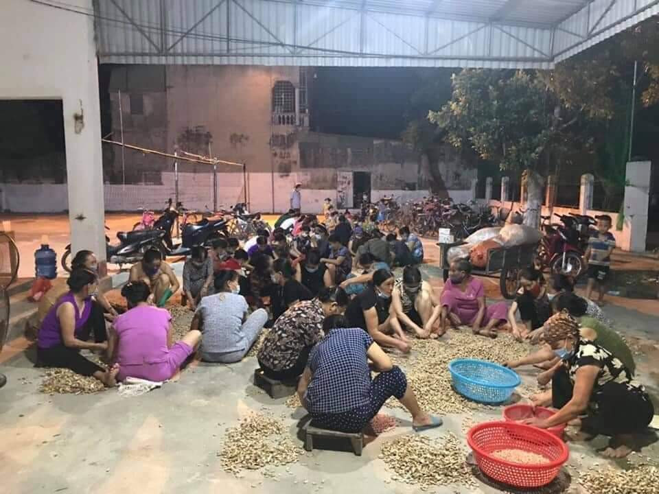 Người dân xã Quảng Thái (huyện Quảng Xương) bóc lạc xuyên đêm để tập kết, đưa vào TP Hồ Chí Minh.