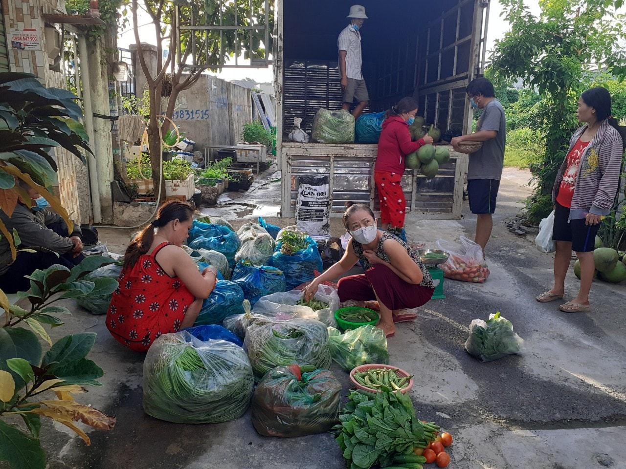 Xe tải chở rau về tận khu dân cư.