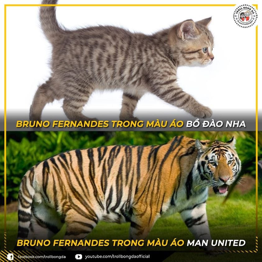 Ảnh chế Bruno của Manchester United khác hoàn toàn Bruno của Bồ Đào Nha (Ảnh: Troll bóng đá).