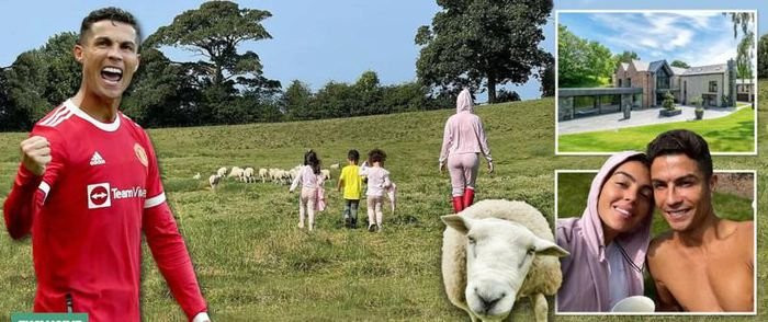 Ronaldo cùng gia đình đã phải chuyển nhà vì không chịu được tiếng ồn của đàn cừu và lo ngại vấn đề an ninh.