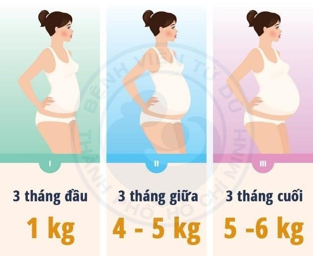 Với tình trạng dinh dưỡng bình thường (BMI: 18,5 – 24,9) mức tăng cân của người mẹ trong thai kỳ nên đạt là 10 – 12 kg.