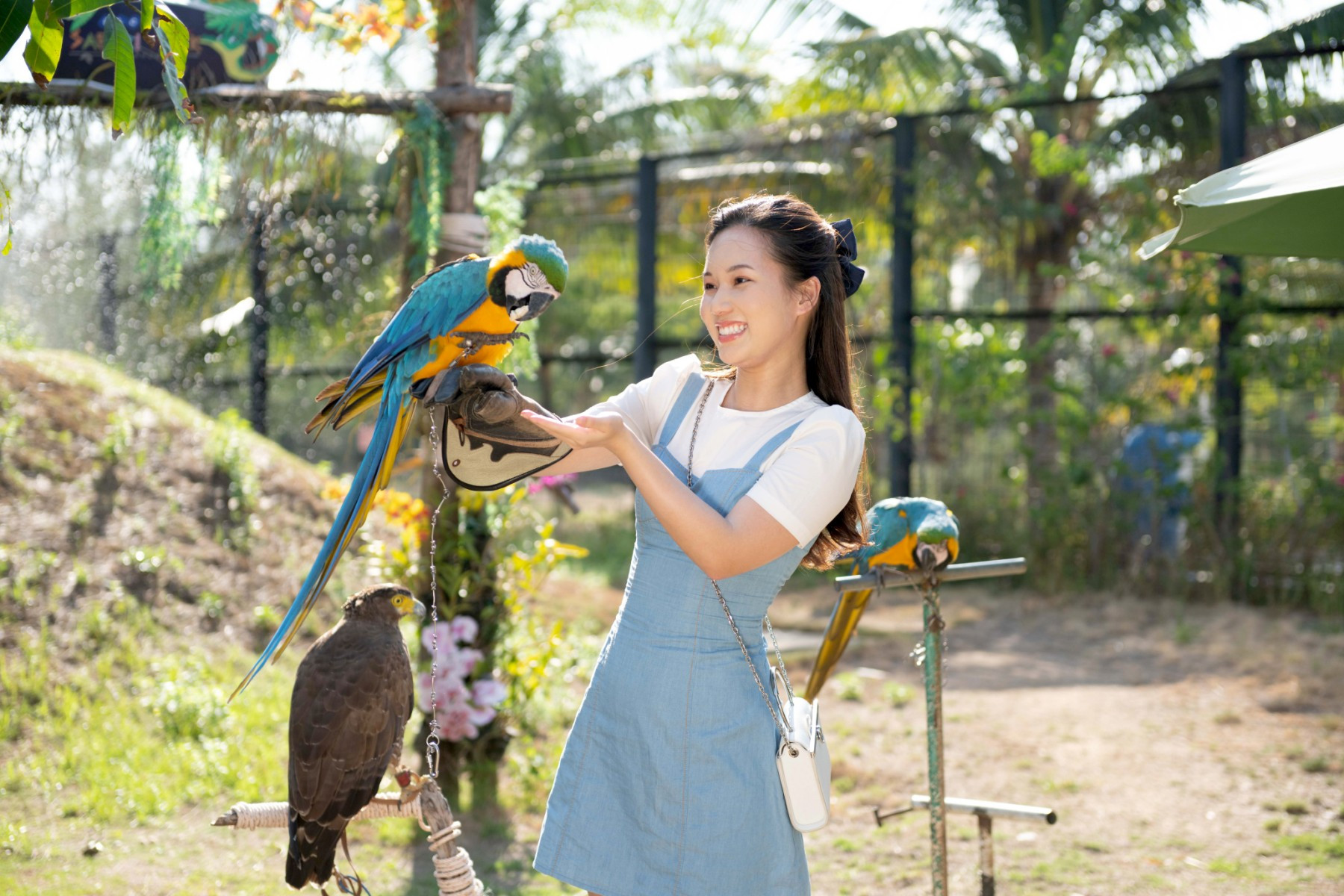 Du khách có nhiều hoạt động tại quần thể du lịch khép kín. Ảnh: FLC Zoo Safari Park Quy Nhơn.