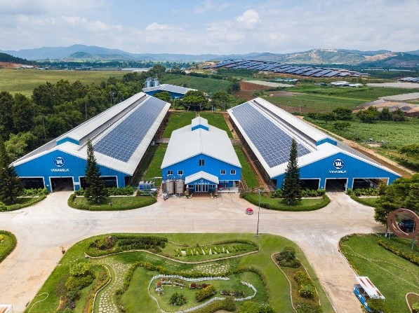 Vinamilk đã triển khai lắp đặt hệ thống năng lượng mặt trời trên mái chuồng trại tại tất cả trang trại bò sữa trên cả nước.