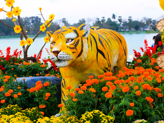 Hình tượng con hổ được đặc tả để đón xuân Nhâm Dần.