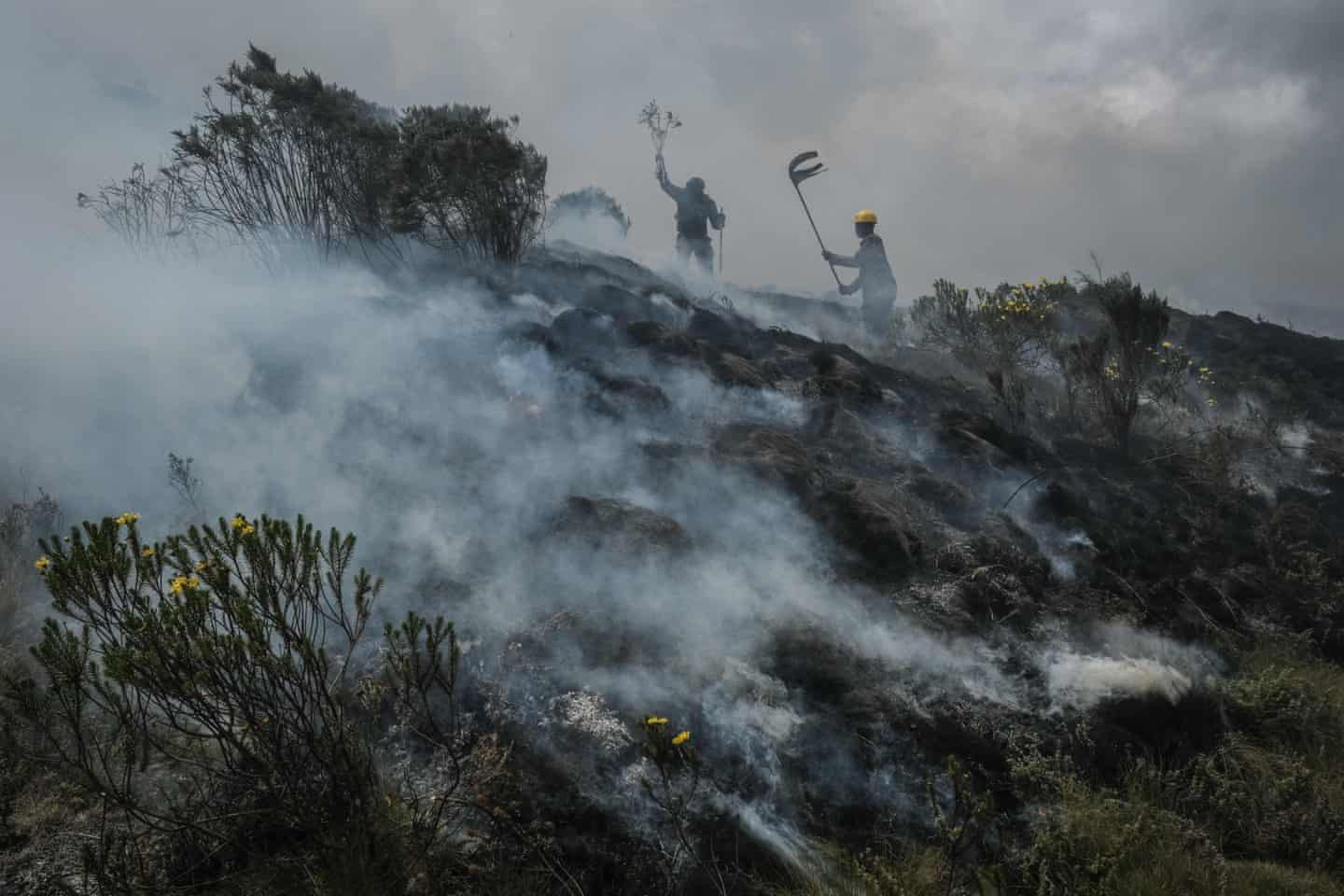 Các nhân viên của Cơ quan bảo vệ động vật hoang dã Kenya dập tắt đám cháy cuối cùng tại vườn quốc gia Aberdare ở Kenya. Ảnh: Yasuyoshi Chiba / AFP / Getty Images.