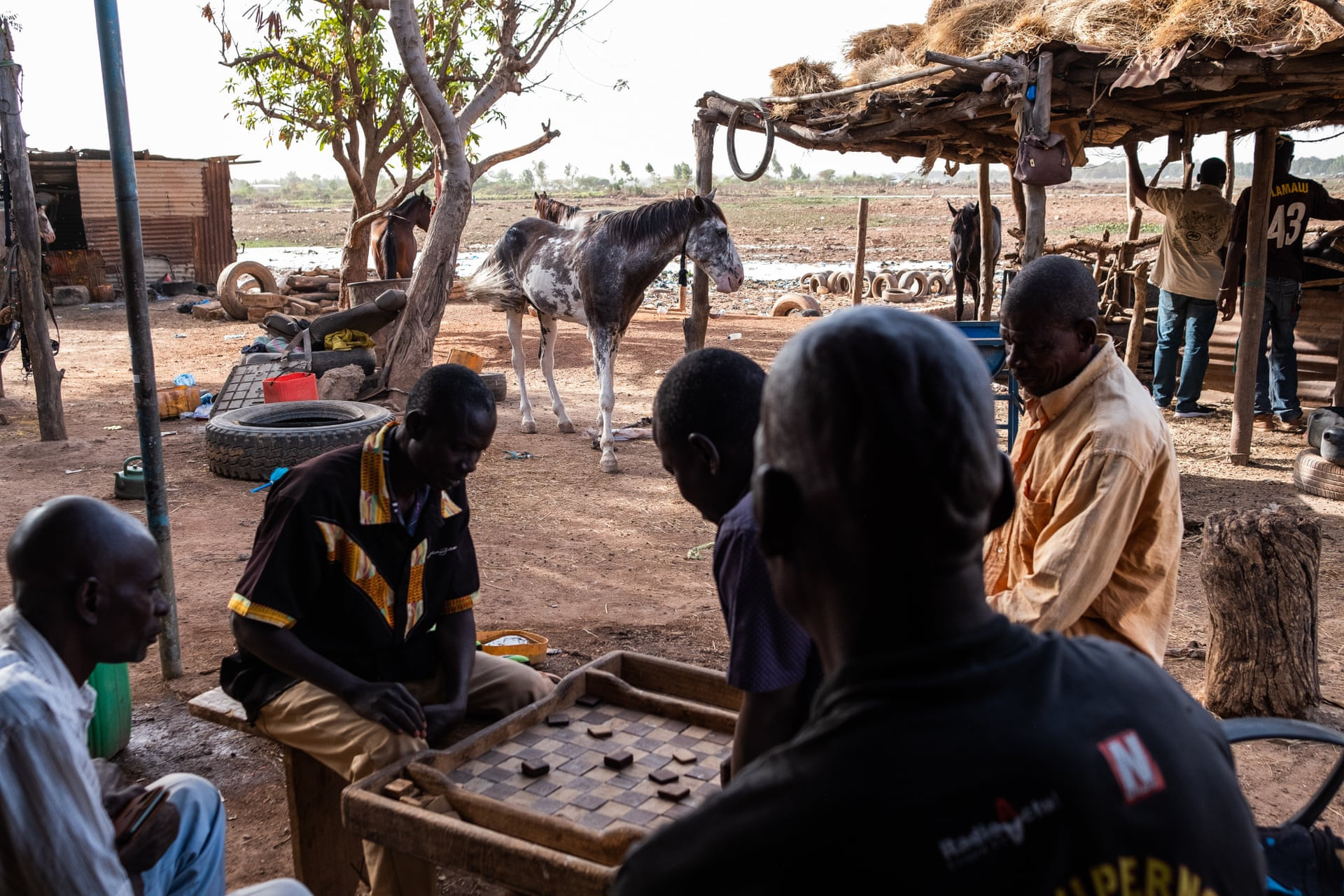 Những người đàn ông chơi cờ đam dưới bóng râm của một căn lều lợp tôn bên cạnh chuồng ngựa chung của Abdo, nơi họ chăm sóc gần 30 con ngựa. Ảnh: Guy Peterson / The Guardian.