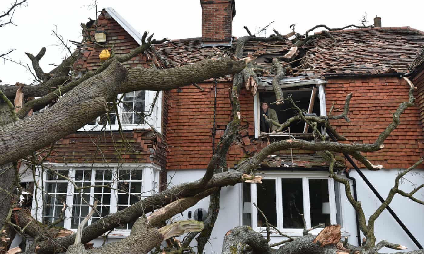Ngôi nhà của một gia đình ở Essex đã bị hư hại sau khi cây sồi 400 năm tuổi bị bão Eunice làm bật gốc. Ảnh: The Guardian.