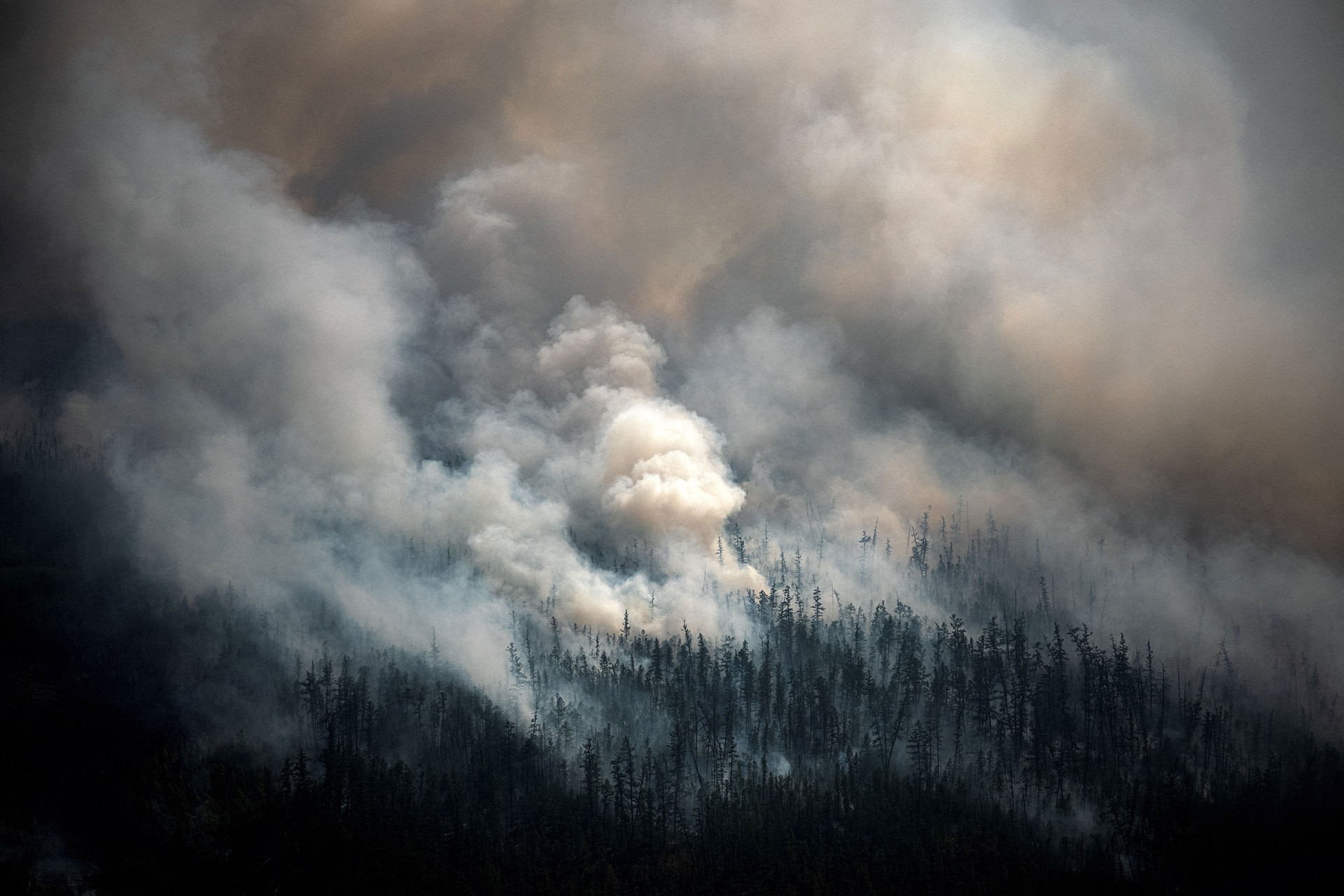 Khói bốc lên từ đám cháy rừng bên ngoài làng Berdigestyakh, thuộc nước cộng hòa Sakha, Siberia, vào tháng 7/2021. Ảnh: CNN.