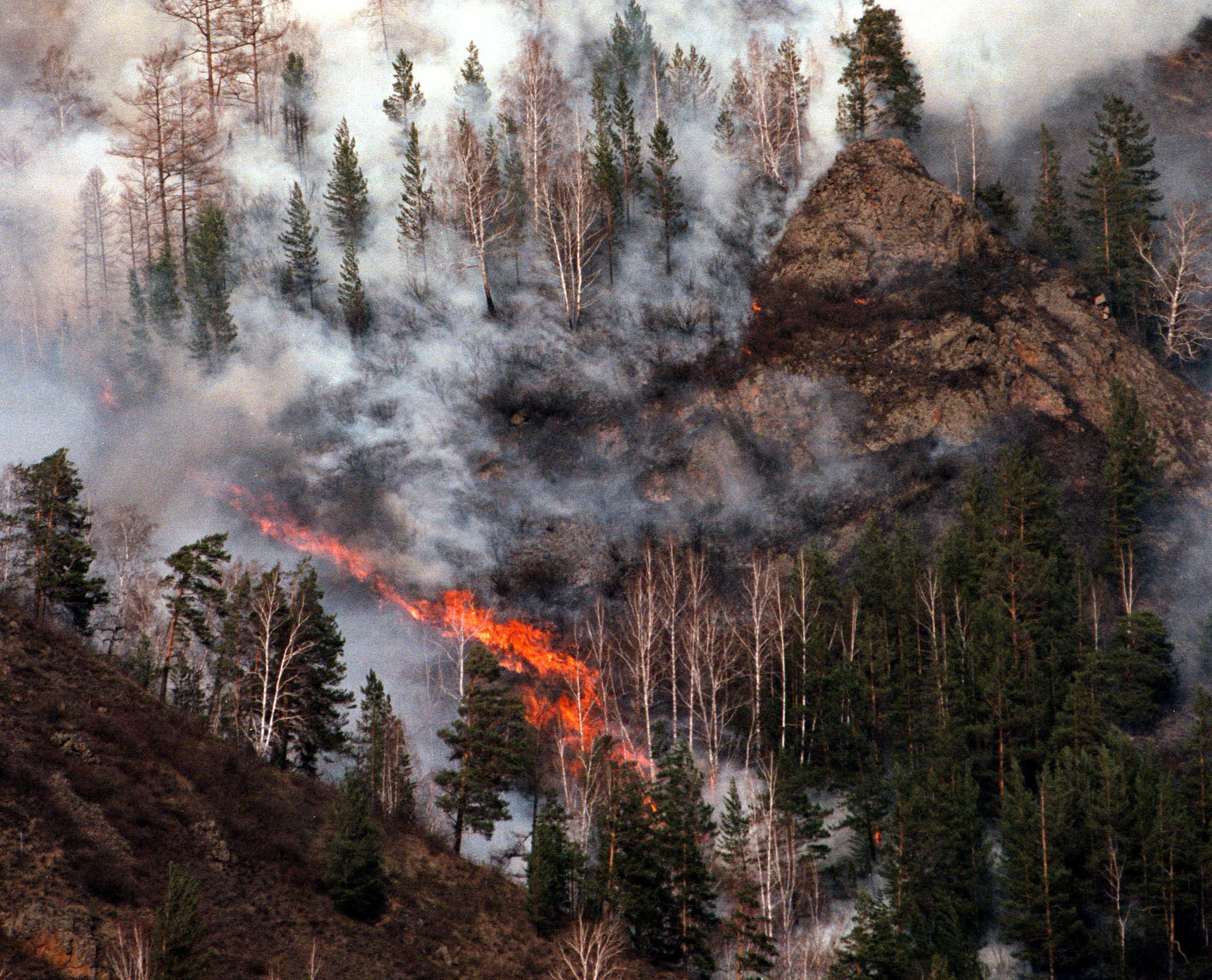 Đợt nắng nóng năm 2020 do tác động của biến đổi khí hậu ở Siberia khiến khả năng cháy rừng cao hơn 600 lần. Ảnh: WEF.
