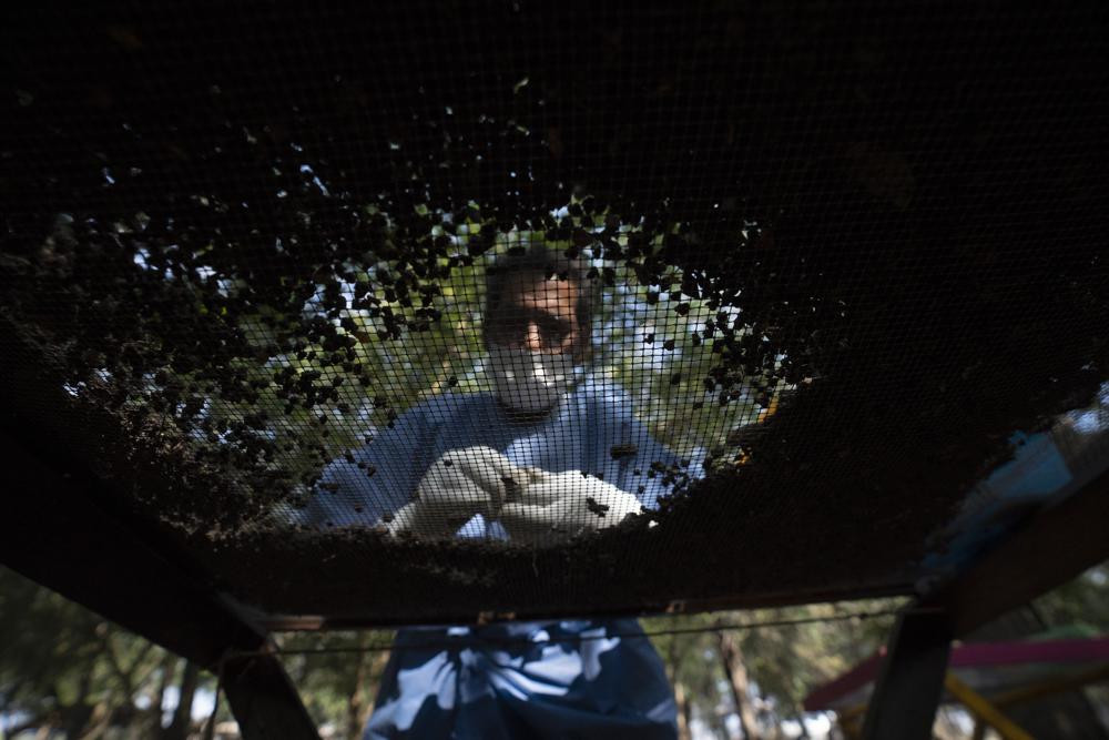 Sàng lọc chất bẩn từ một ngôi mộ bí mật trên cánh đồng ở ngoại ô Ciudad Mante, Mexico. Ảnh: AP.