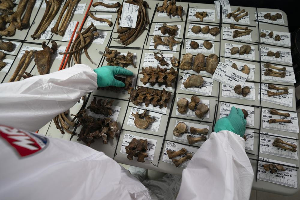 Một chuyên gia sắp xếp các mảnh xương tại phòng thí nghiệm pháp y ở thủ phủ Ciudad Victoria, Mexico. Ảnh: AP.