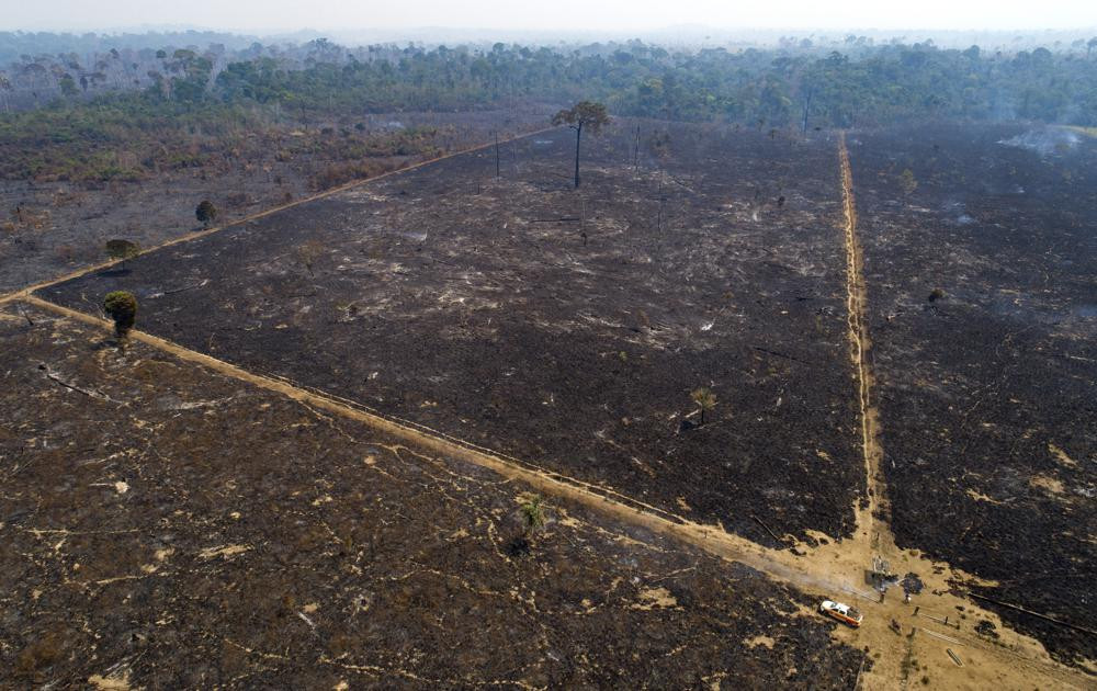 Một khu vực bị con người thiêu rụi để dọn sạch đất gần Novo Progresso ở bang Para, Brazil. Ảnh: AP.