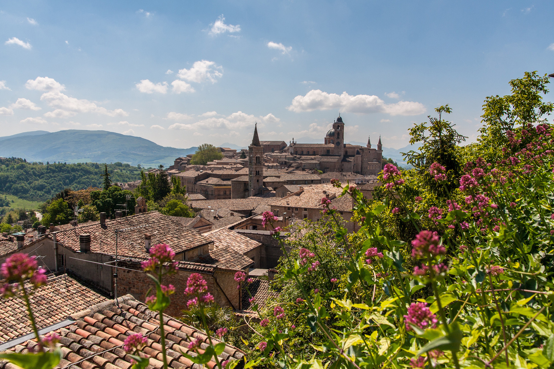 Giữa Urbino và vùng nông thôn xung quanh được gắn kết hoàn hảo. Ảnh: CNN.