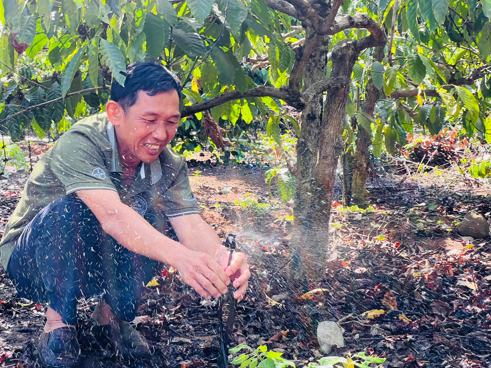 Nhiều  hộ dân ở huyện Cư M' gar, đang áp hệ thống tưới nhỏ giọt để tiết kiệm nước.