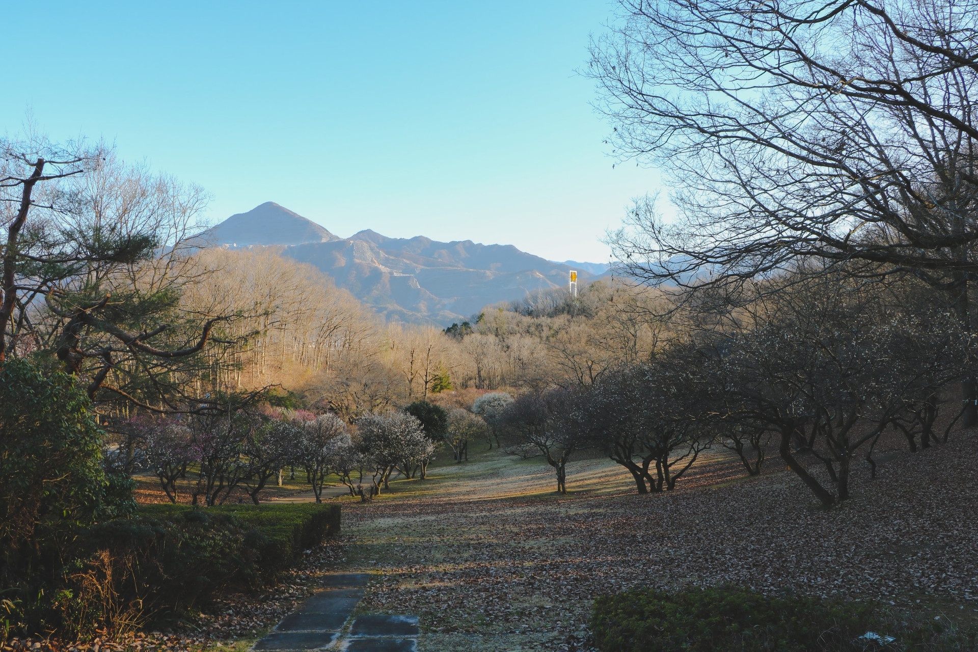  Thiên nhiên yên bình vùng núi Chichibu, Saitama, Nhật Bản. Ảnh: Unsplash.