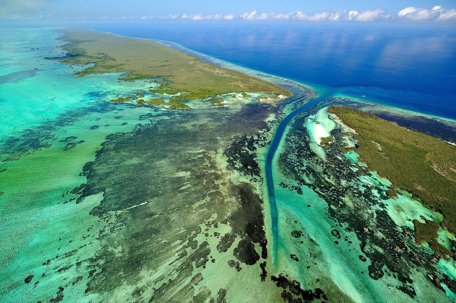 Đảo san hô Aldabra của Seychelles ở Ấn Độ Dương, nơi có các đảo san hô lớn và quần thể rùa khổng lồ lớn nhất trên thế giới cư trú. Ảnh: CNN.