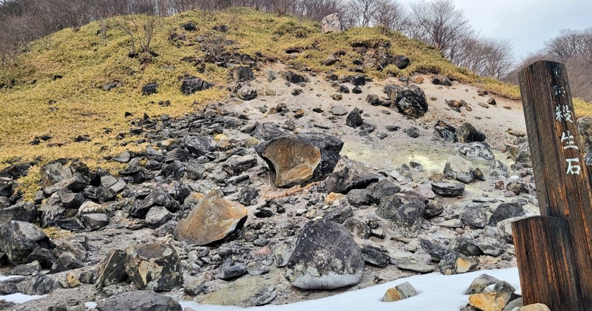 Tảng đá chứa linh hồn cáo chín đuôi tách đôi ở Nhật Bản. Ảnh: Japan Times.