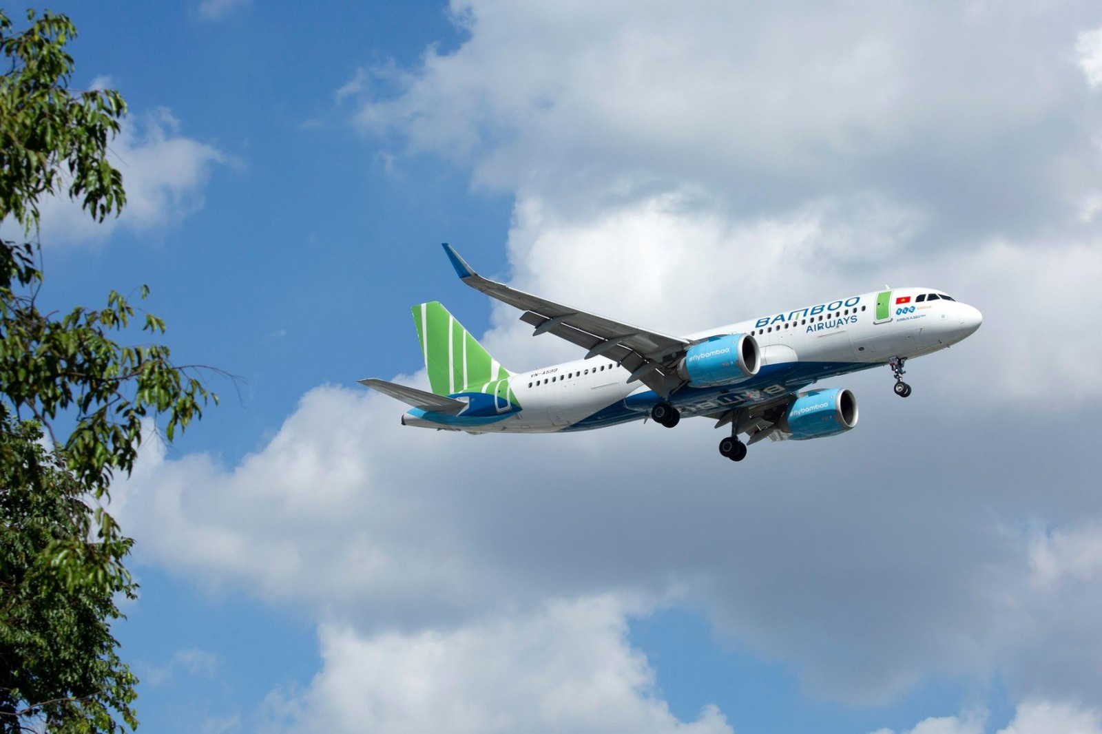 Bamboo Airways đang mở rộng nhanh chóng quy mô mạng bay quốc tế trong năm 2022.