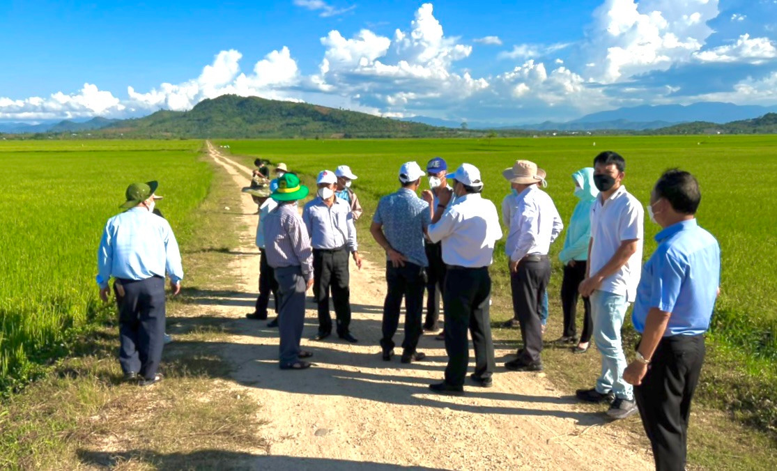 Các địa biểu về dự Hội thảo, khảo sát vùng trồng lúa huyện Ea Kar.