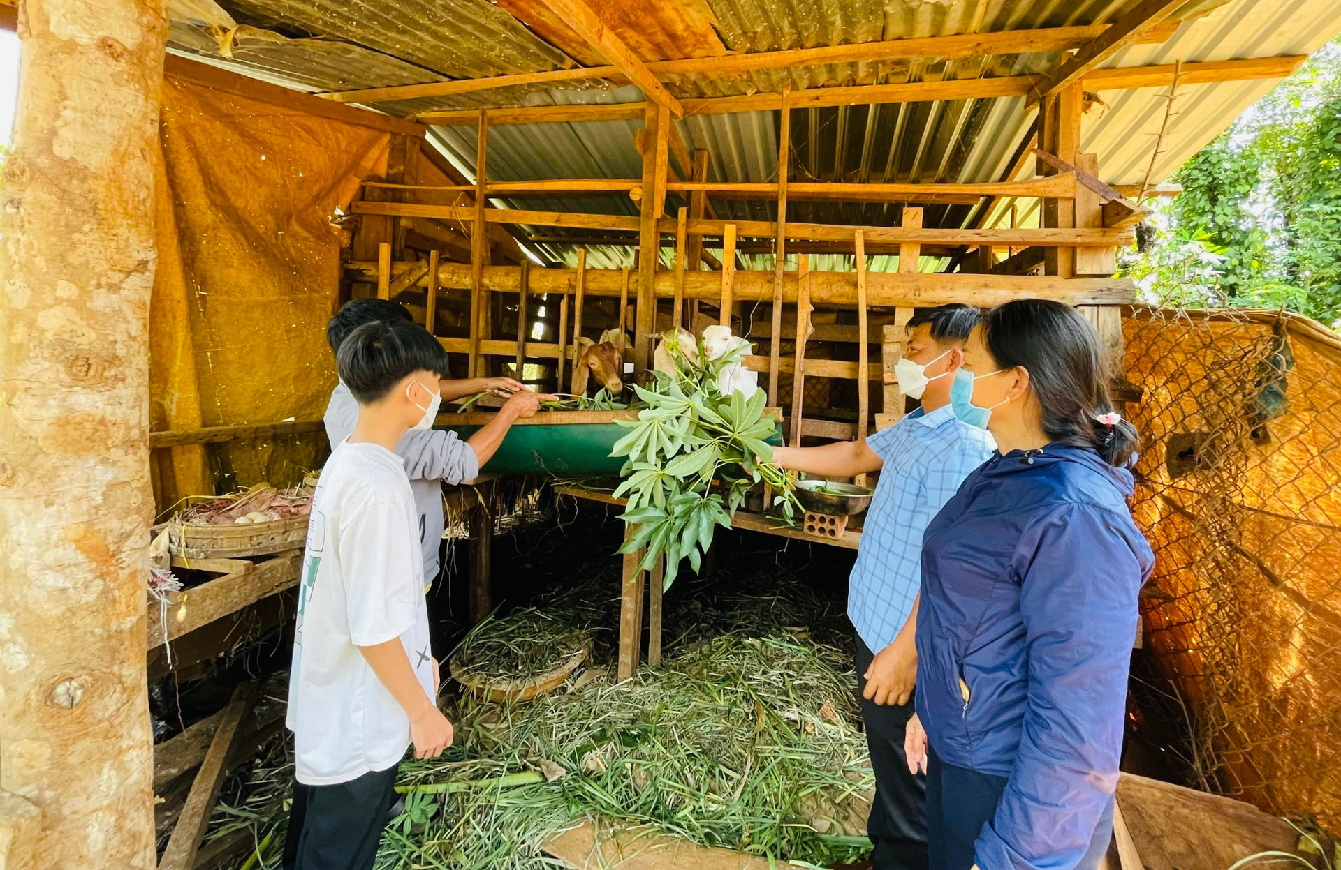 Nhóm đảng viên hỗ trợ hộ Nguyễn Thị Thao, thôn E29, xã Đắc Mol phát triển đàn dê.
