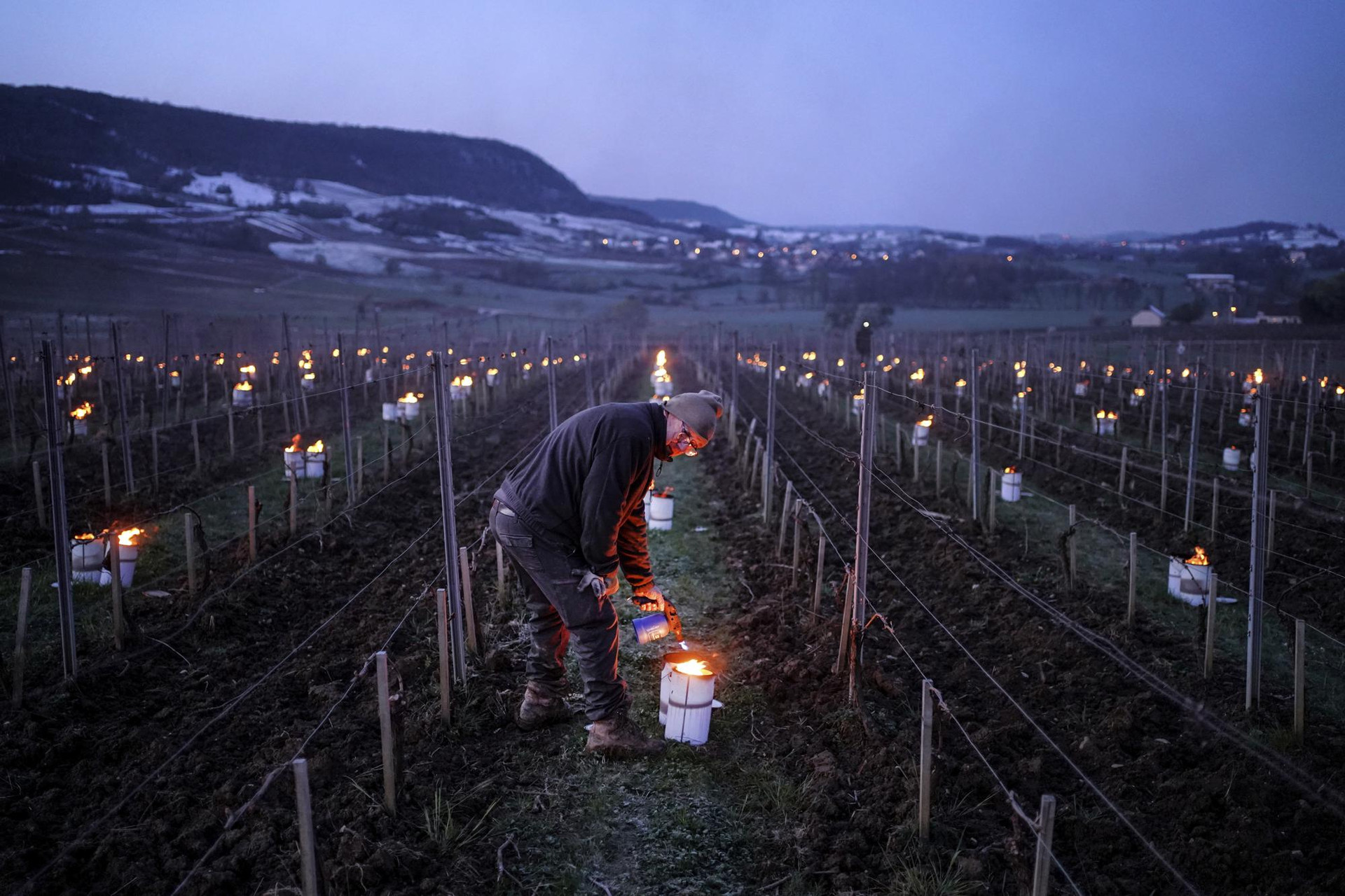 Một người trồng nho thắp lửa chống sương giá trong một vườn nho ở vùng Jura, miền trung nước Pháp. Ảnh: AP.