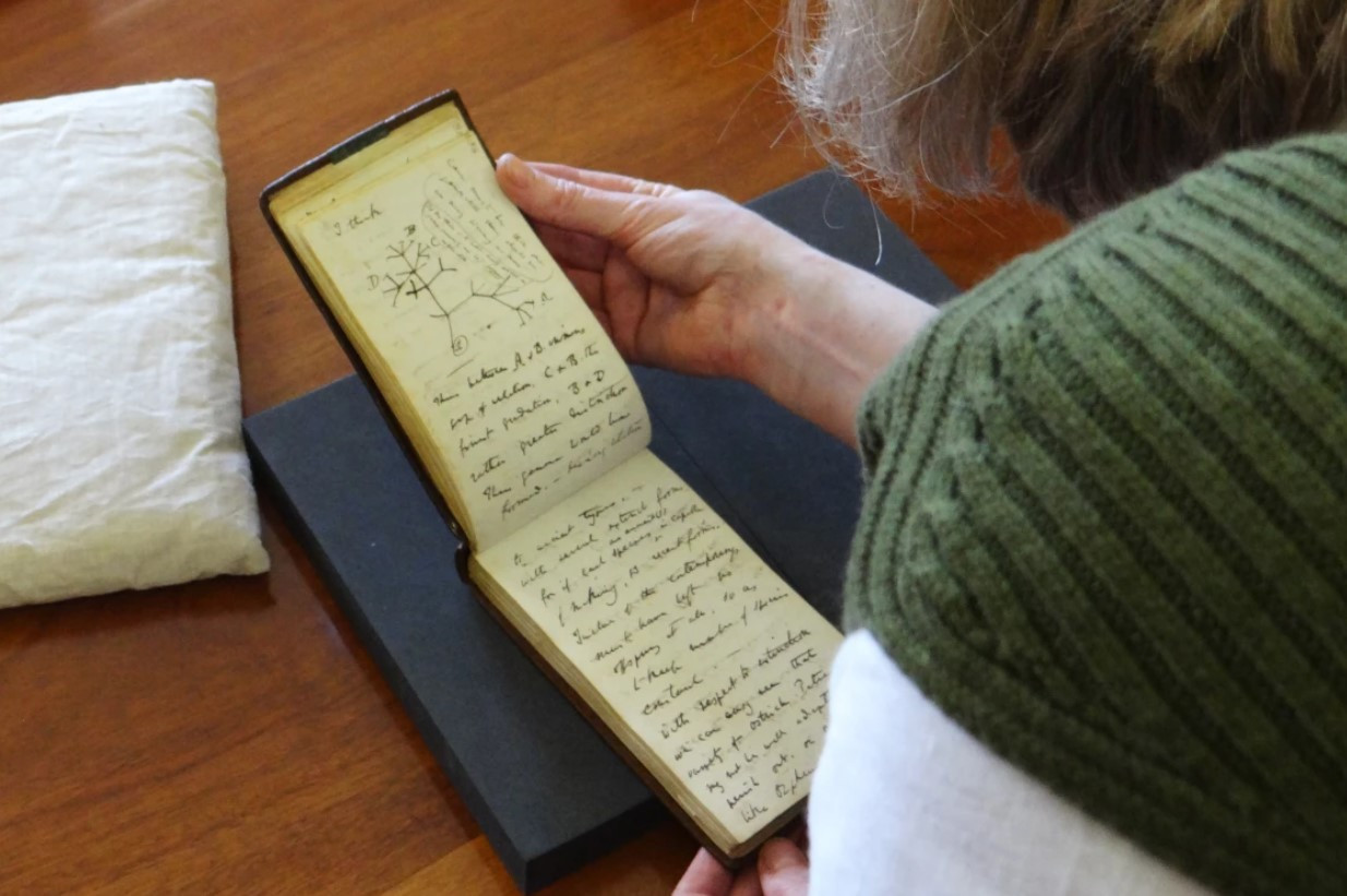 Cuốn sổ tay ghi chép về ‘cây sự sống của Charles Darwin. Ảnh: Thư viện Đại học Cambridge.