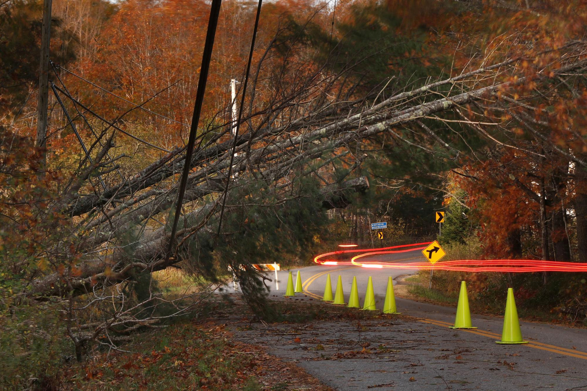 Một đường dây điện bị đè nặng bởi cây đổ ở Freeport, bang Maine, Mỹ. Ảnh: AP.