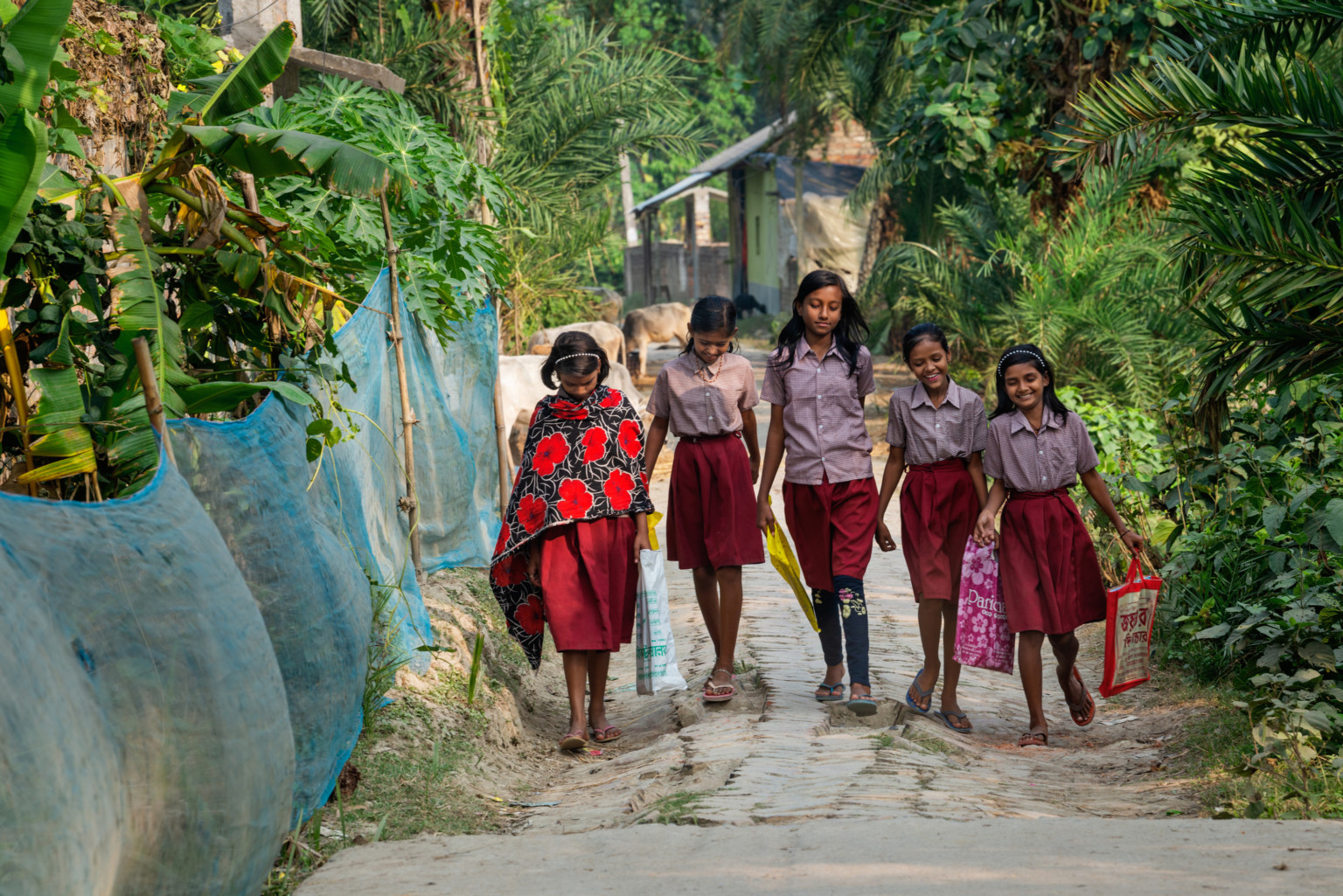 Những bé gái thường đi bộ từ trường về nhà. Ảnh: Yahoo.