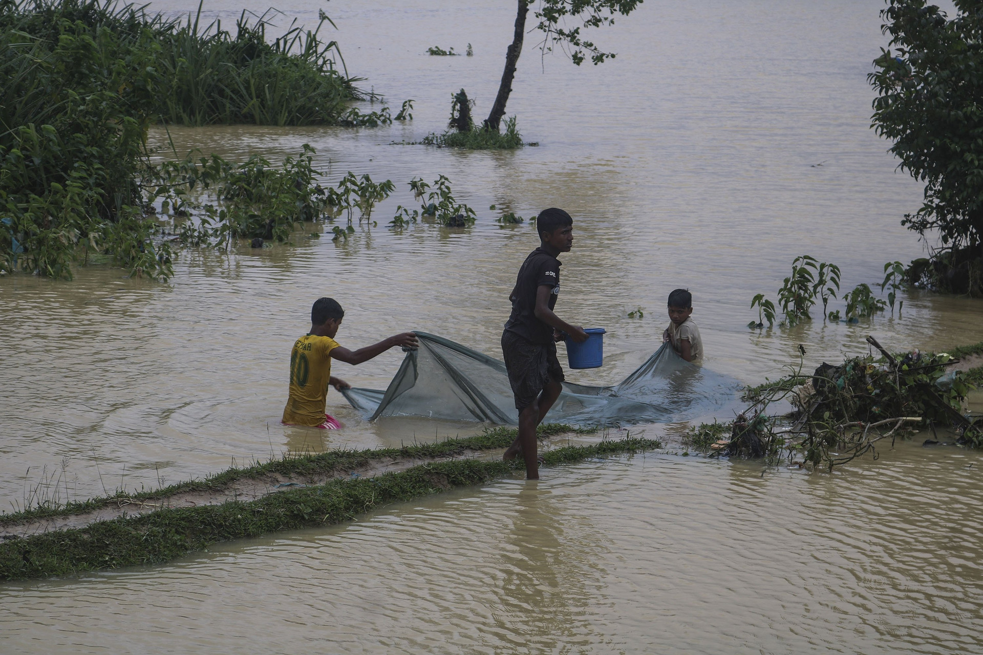 Lũ lụt nghiêm trọng ở Bangladesh. Ảnh: IDSB.