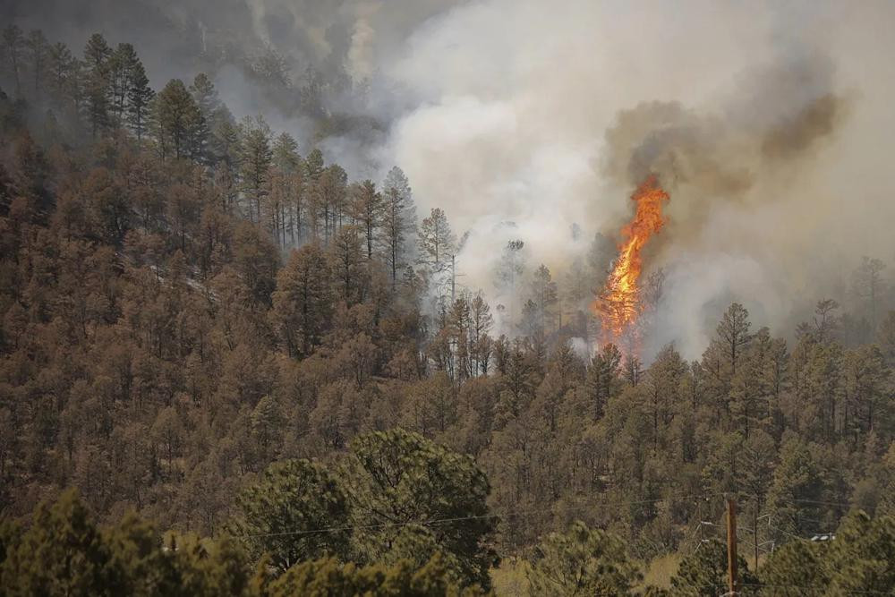 Cây cối bốc cháy khi ngọn lửa McBride tràn xuống sườn núi gần làng Ruidoso, bang New Mexico, Mỹ. Ảnh: AP.
