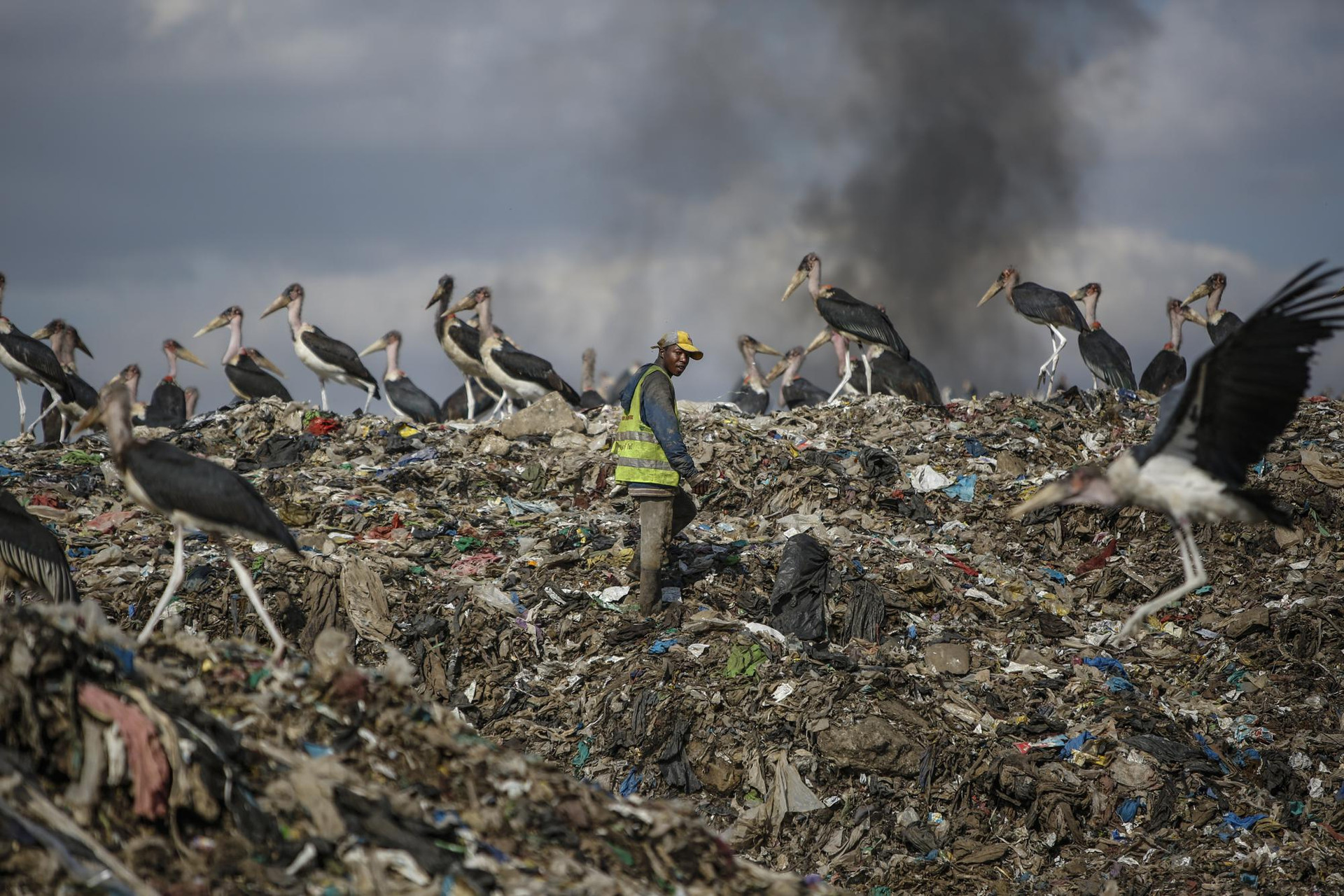 Một người đàn ông nhặt rác để kiếm sống đi ngang qua những con cò Marabou kiếm ăn trên những thùng rác đang đốt tại Dandora, bãi rác lớn nhất ở thủ đô Nairobi, Kenya. Ảnh: AP.