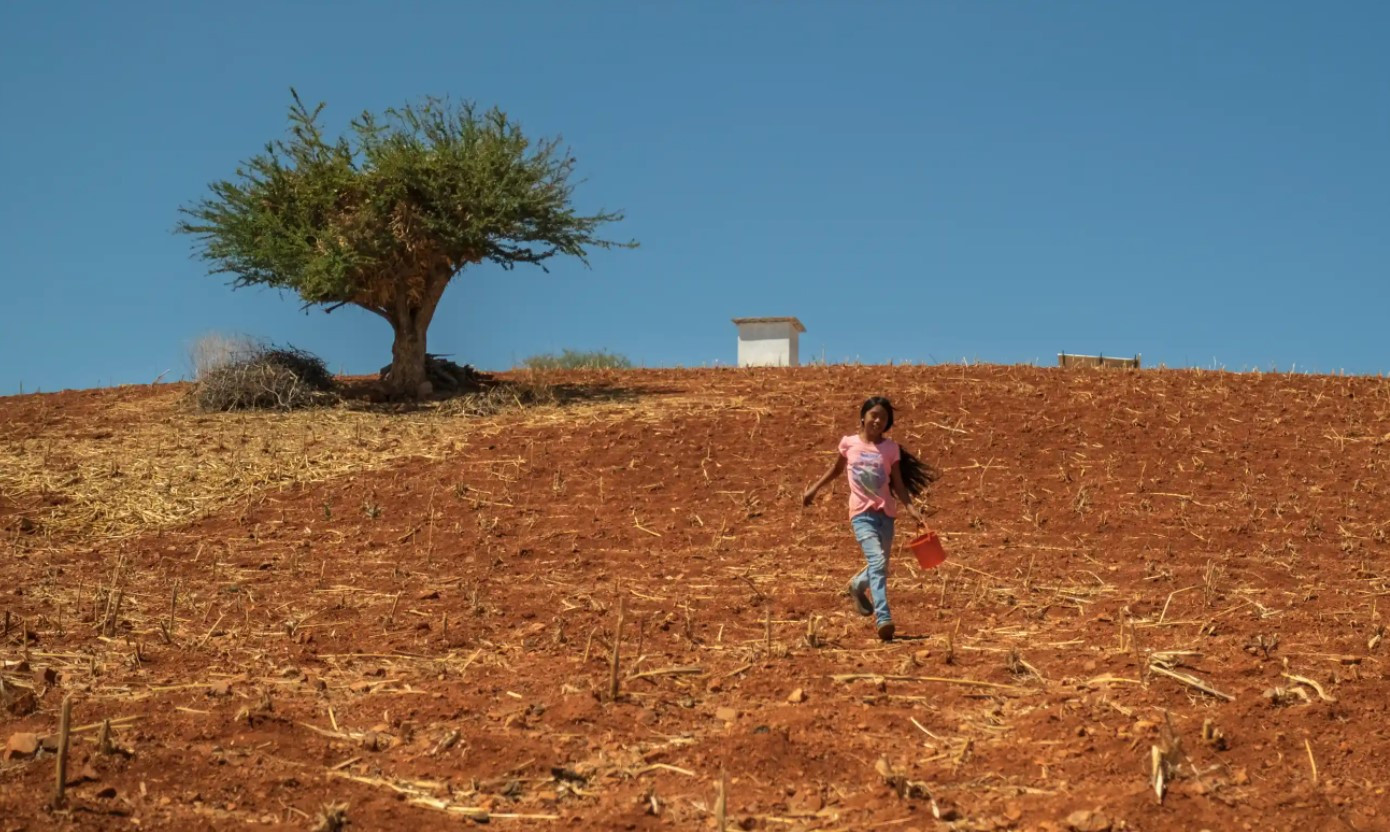 Một cô gái chạy băng qua cánh đồng sau khi lấy nước cho động vật trong chuồng ở Santa Catarina Estancia. Ảnh: The Guardian.