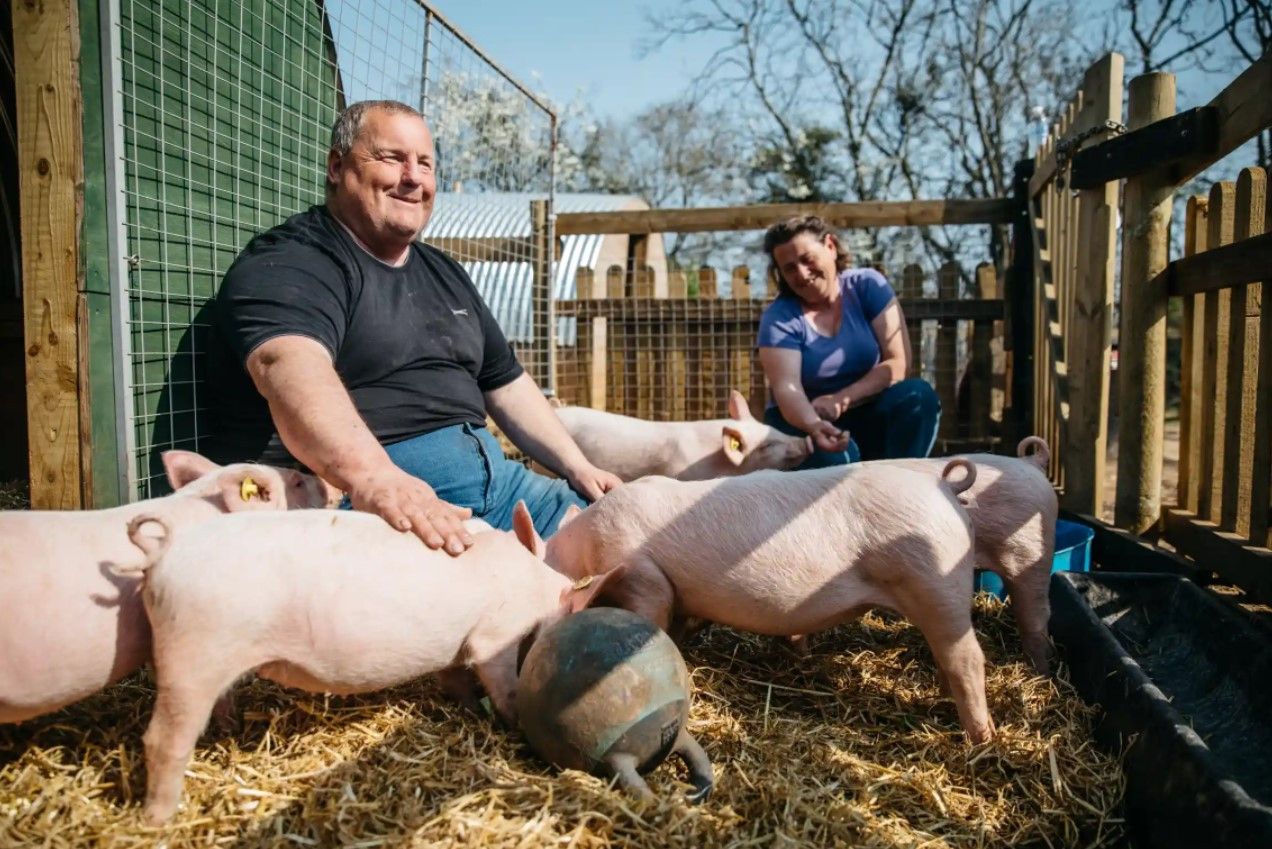 Mike Duxbury và Ness Shillito, những người đồng sáng lập Trang trại Hòa nhập ở Bedfordshire, với những chú lợn của họ. Ảnh: The Guardian.