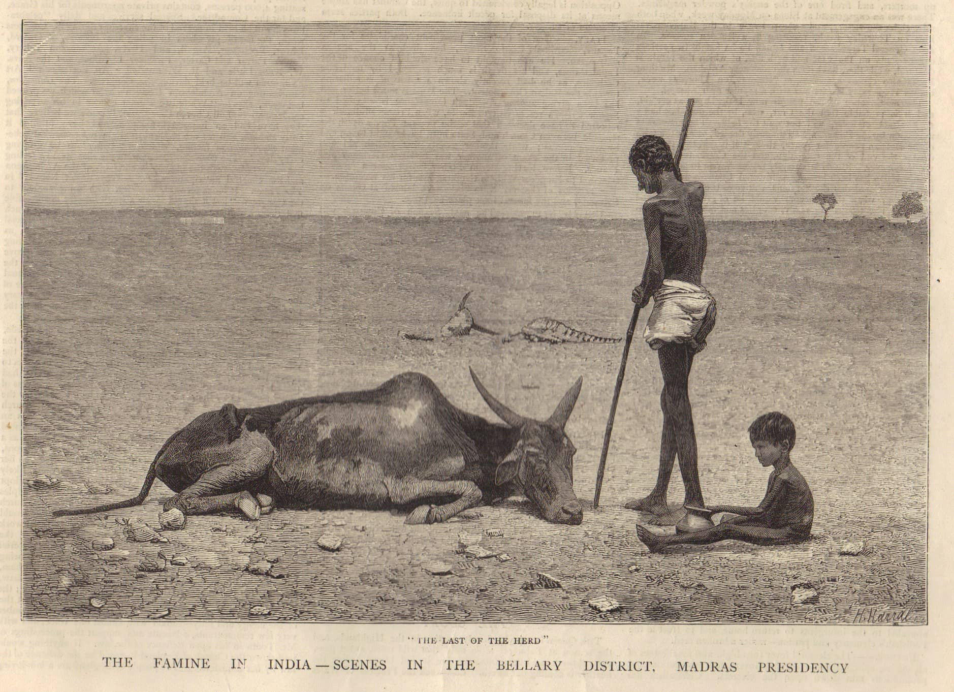 Nạn đói đầu lâu (1788-1794) ở Ấn Độ. Ảnh: ED Times.
