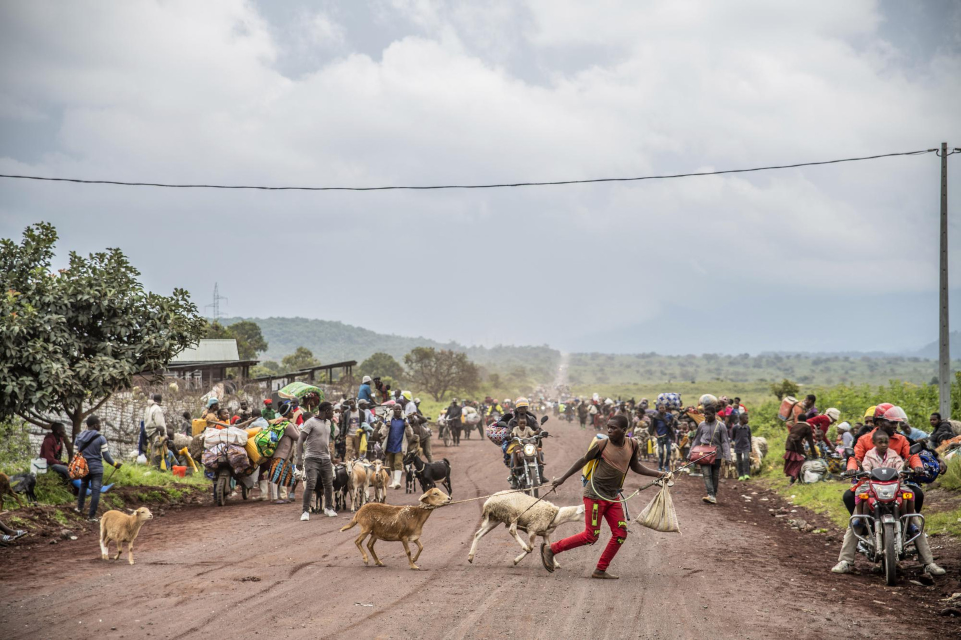 Người dân chạy trốn khỏi cuộc giao tranh trên con đường gần Kibumba, phía bắc Goma, Cộng hòa Dân chủ Congo. Ảnh: AP.