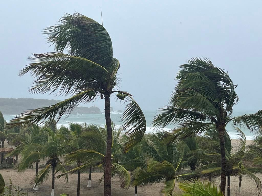 Những cây cọ đung đưa trong gió khi bão Agatha tấn công bờ biển phía nam Mexico, ở Puerto Escondido, bang Oaxaca, Mexico. Ảnh: Reuters.