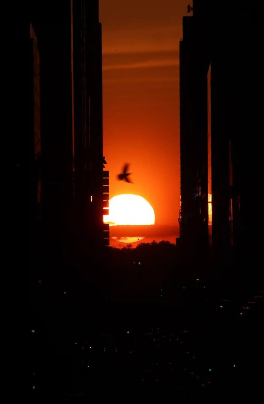 Cảnh hoàng hôn ‘Manhattanhenge’ giữa các tòa nhà, khi nhìn từ Phố 42. Ảnh: Getty Images.