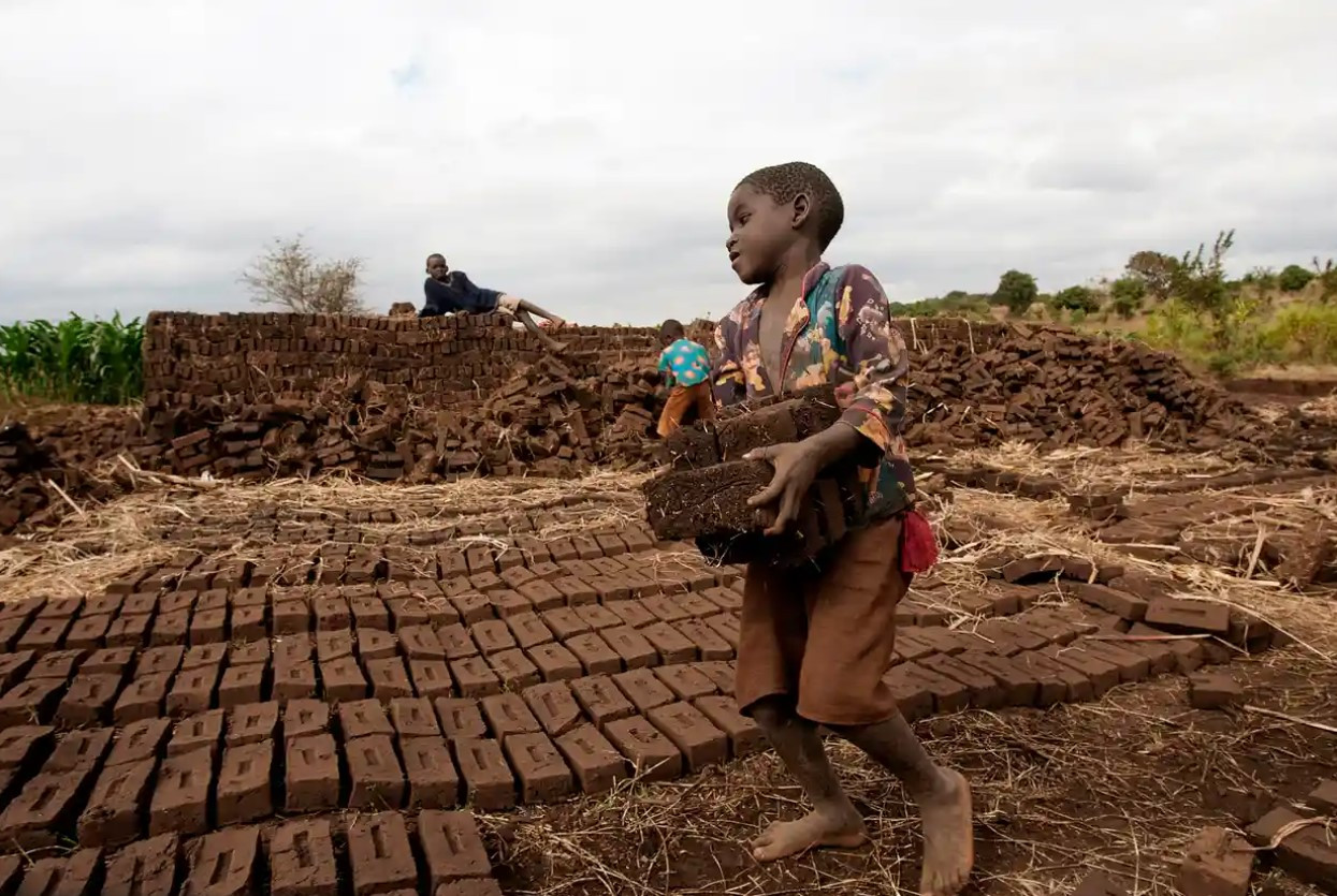 Một cậu bé mang gạch đến lò nung để kiếm tiền ở Chitukula, Lilongwe, Malawi. Ảnh: The Guardian.