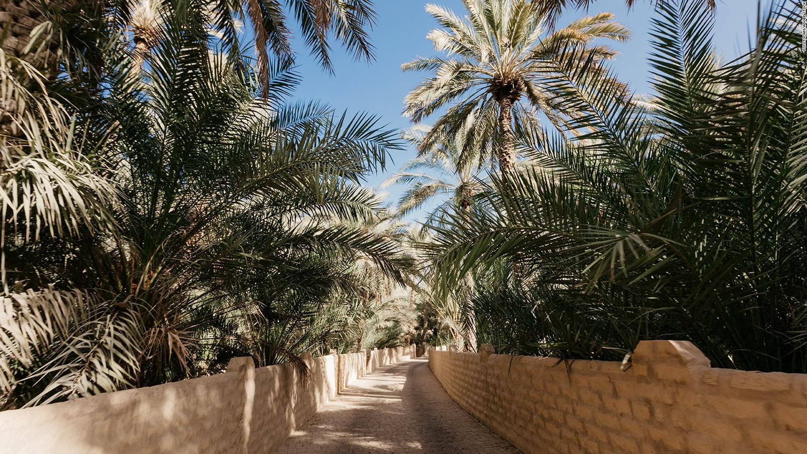 Al Ain Oasis: Một khu rừng yên bình với 147.000 cây chà là và các kênh thủy lợi cổ xưa. Ảnh: CNN.